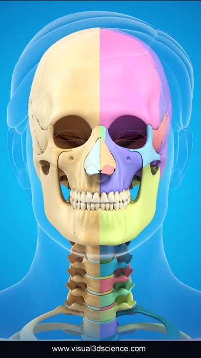 My Skull Anatomy Screenshots